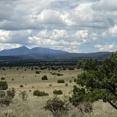 COUNTY RD A052 TRACT A, ESTANCIA, NM 87016, photo 2 of 6