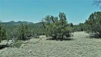 LOT 12 GREENS GAP RANCHES, DATIL, NM 87821, photo 2 of 2