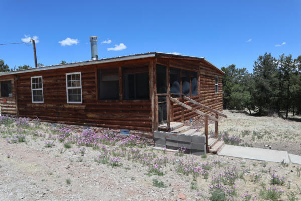 46 WAGON TRL, DATIL, NM 87821, photo 5 of 24