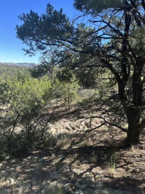 LOOKOUT CIRCLE, DATIL, NM 87821, photo 5 of 5