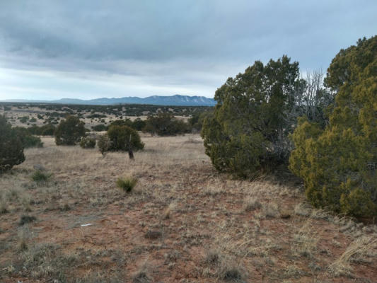 TRACT 7 BRIDLE PATH LOOP, MOUNTAINAIR, NM 87036, photo 4 of 13