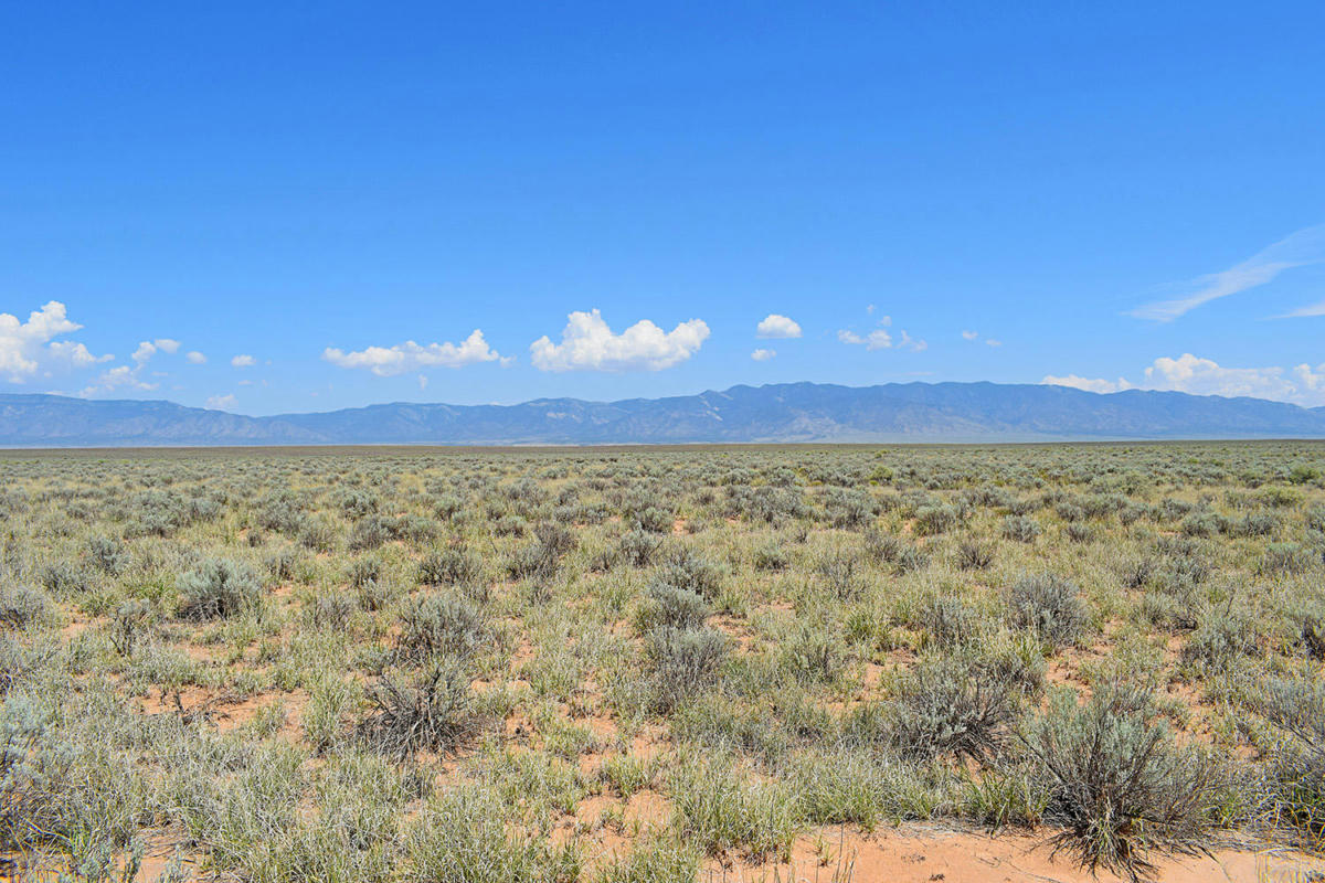 LOT 8 RIO DEL ORO # 12, LOS LUNAS, NM 87031, photo 1 of 14