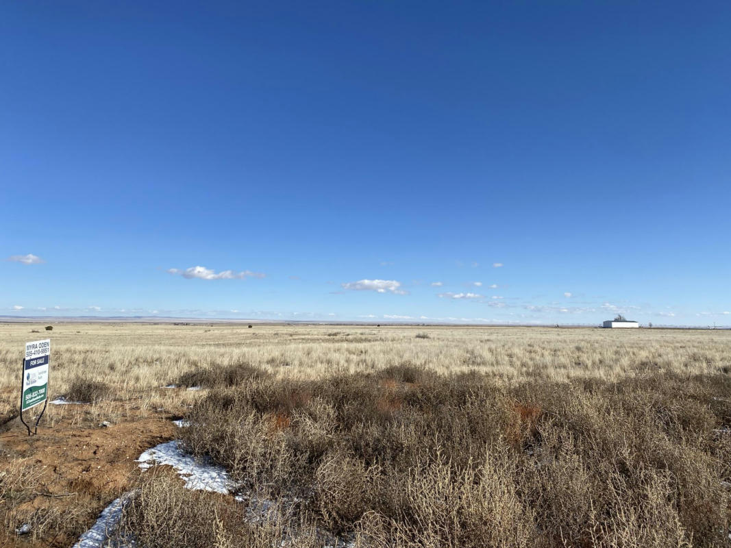 BLUEGRASS, TRACT 4 ROAD, ESTANCIA, NM 87016, photo 1 of 5