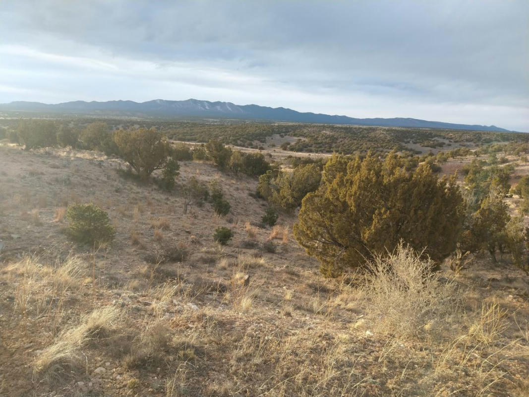 TRACT 7 BRIDLE PATH LOOP, MOUNTAINAIR, NM 87036, photo 1 of 13