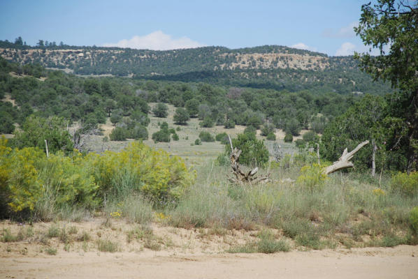 WILDHORSE SUBDIVISION 10 LOTS, PIE TOWN, NM 87827, photo 5 of 6