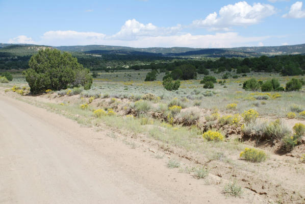 WILDHORSE SUBDIVISION 10 LOTS, PIE TOWN, NM 87827, photo 2 of 6