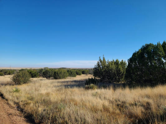 0 ROSEWOOD DRIVE # 1-A-4, TAJIQUE, NM 87016, photo 5 of 9