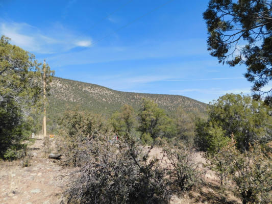LOT 18 RIVERS WEST ROAD, RESERVE, NM 87830, photo 3 of 14