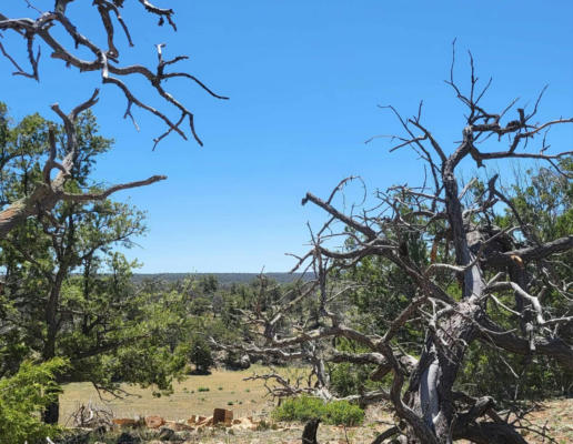 NORTH LOTS - CALLS PLACE, RAMAH, NM 87321, photo 2 of 37