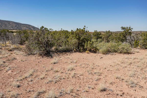 265 STAR MEADOW RD, PLACITAS, NM 87043, photo 2 of 25