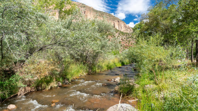 15893 HIGHWAY 4, JEMEZ SPRINGS, NM 87025 - Image 1