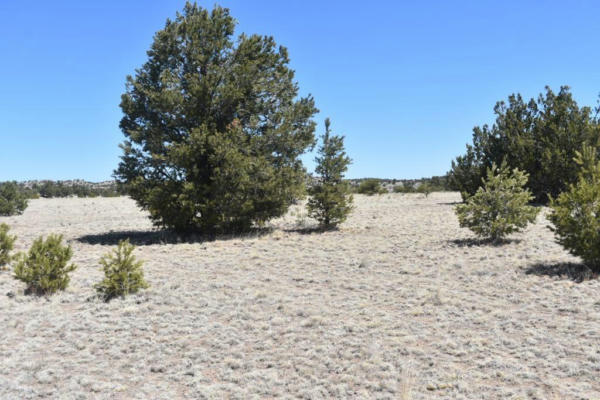 LOT 15 OLD THOMAS PLACE IV, DATIL, NM 87821, photo 4 of 33