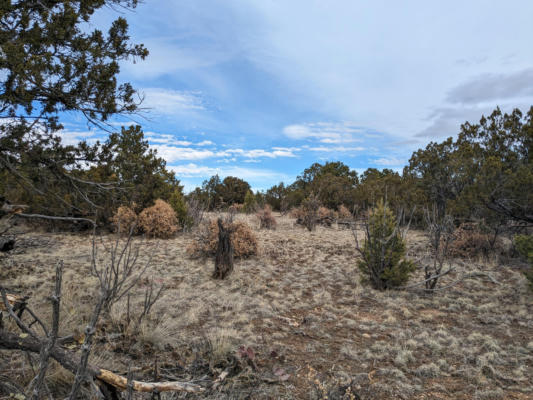 15 SNOWY OWL, STANLEY, NM 87056 - Image 1