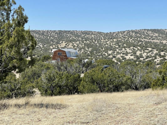 22 ABBE SPRINGS, MAGDALENA, NM 87825, photo 5 of 81