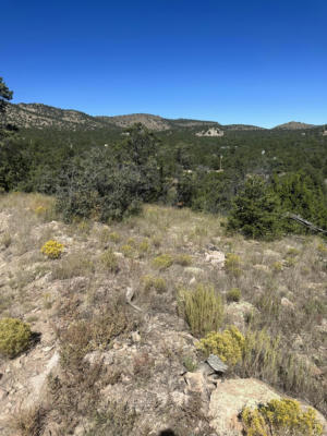 LOOKOUT CIRCLE, DATIL, NM 87821, photo 2 of 5