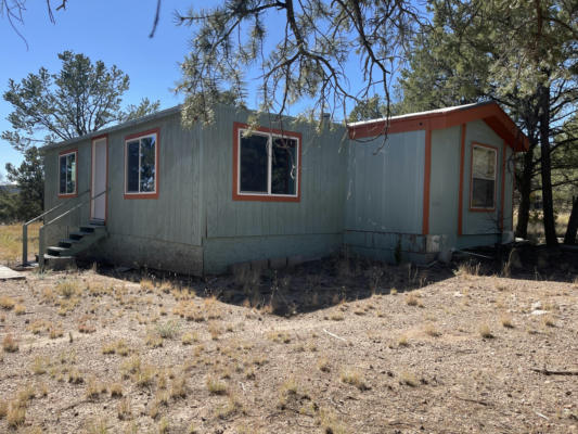 111 HOMESTEAD TRL, DATIL, NM 87821 - Image 1