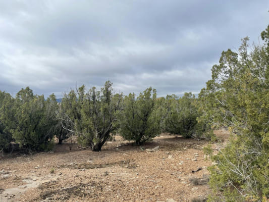 11 RAIN DANCE RD, SANDIA PARK, NM 87047, photo 3 of 15