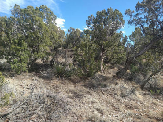 TRACT 5 BRIDLE PATH LOOP, MOUNTAINAIR, NM 87036, photo 4 of 8