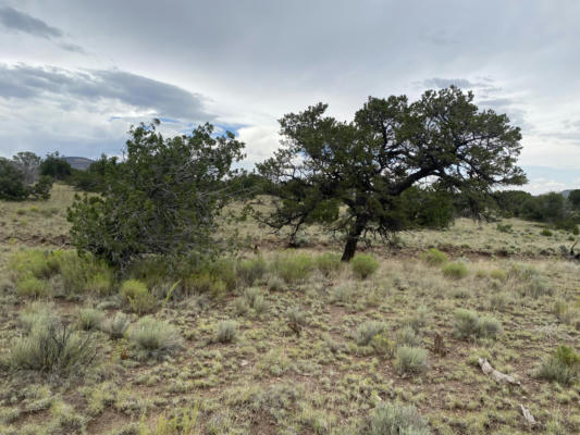 76 WILDWOOD LOOP, DATIL, NM 87821 - Image 1