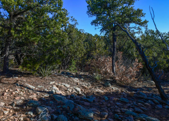 4 JOY CT, SANDIA PARK, NM 87047, photo 2 of 7