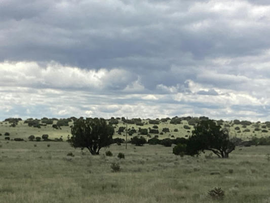 COUNTY RD A052 TRACT F-1, ESTANCIA, NM 87016, photo 4 of 4