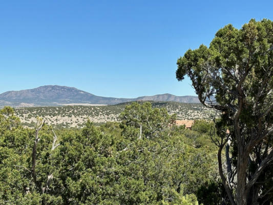 14 OSITO RD, SANDIA PARK, NM 87047, photo 4 of 23