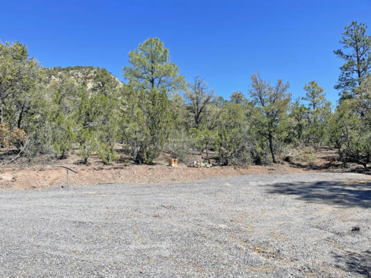 TRACT1E1A RAPTOR ROAD, JEMEZ SPRINGS, NM 87025, photo 4 of 14