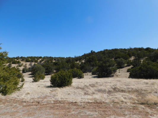 LOTS 68-70 PINION HEIGHTS, QUEMADO, NM 87829, photo 3 of 20