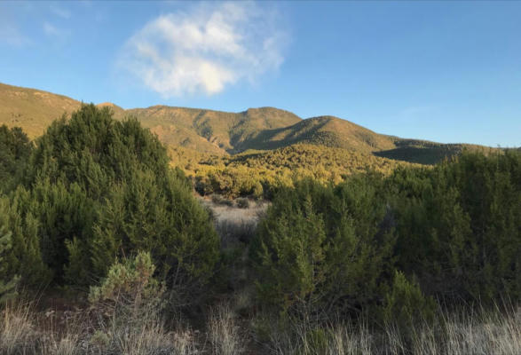39.33 PATTERSON CANYON ACRES, MAGDALENA, NM 87825, photo 2 of 44