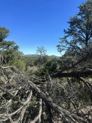 LOOKOUT CIRCLE, DATIL, NM 87821, photo 2 of 4