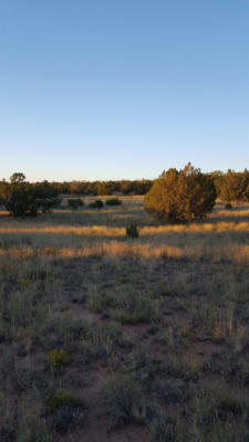 RNCH VW LP, CARRIZOZO, NM 88301 - Image 1