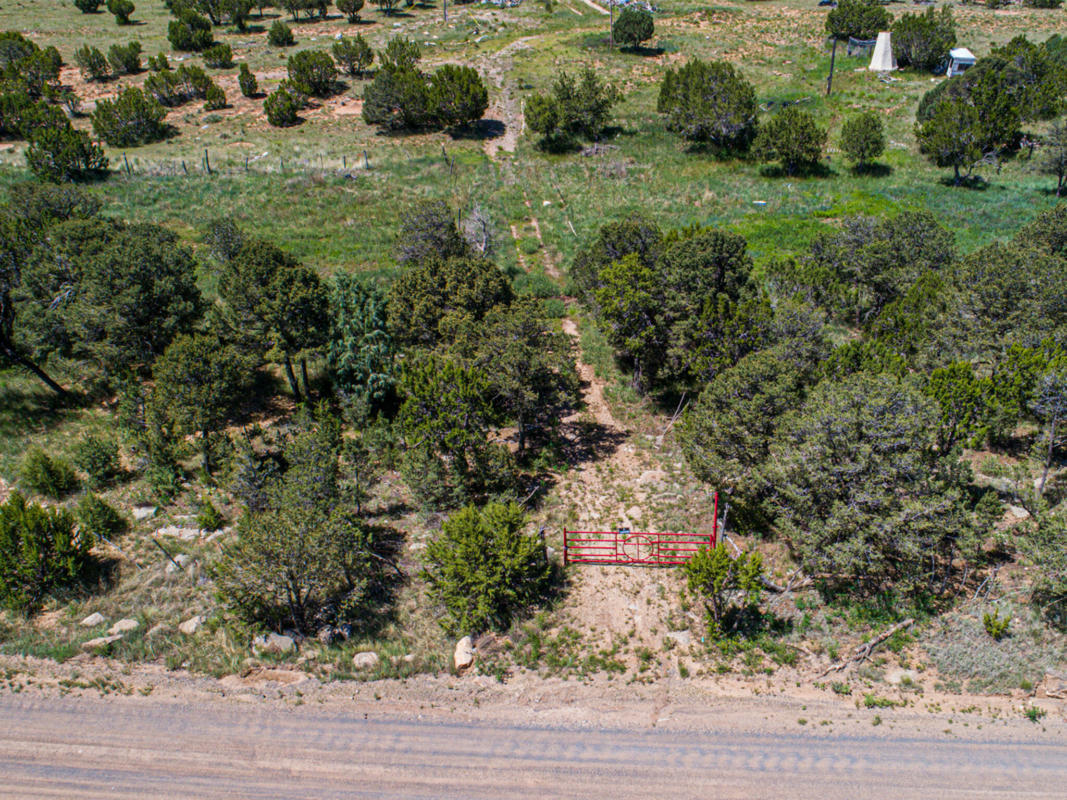 36 FOREST ROAD 321, ESTANCIA, NM 87016, photo 1 of 12