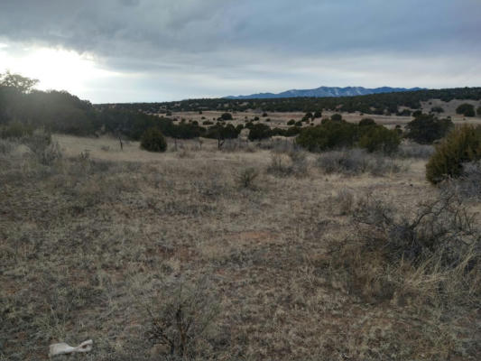 TRACT 8 BRIDLE PATH LOOP, MOUNTAINAIR, NM 87036, photo 4 of 19