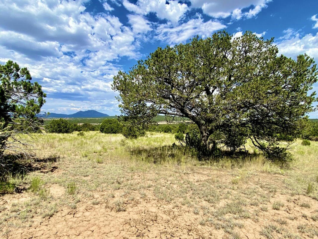 6 COUGAR CT, TIJERAS, NM 87059, photo 1 of 64