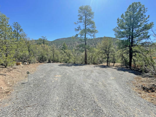 TRACT1E1A RAPTOR ROAD, JEMEZ SPRINGS, NM 87025 - Image 1