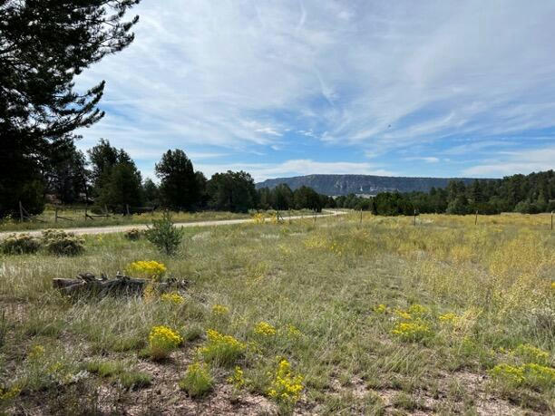 LOT 9 COPPERWEED ROAD, RAMAH, NM 87321, photo 1 of 46