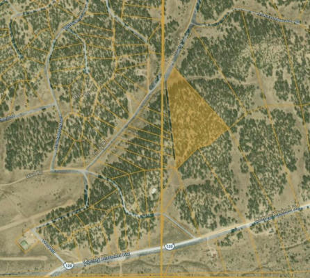 LOT 1 TIN CAN ALLEY ROAD, RAMAH, NM 87321, photo 2 of 22