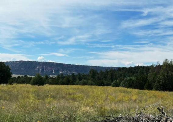 LOT 9 COPPERWEED ROAD, RAMAH, NM 87321, photo 3 of 46