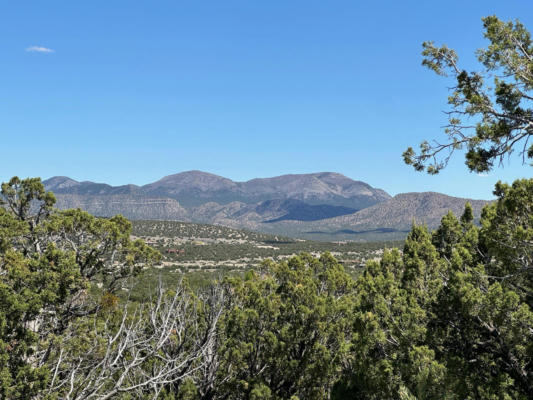 14 OSITO RD, SANDIA PARK, NM 87047, photo 3 of 23