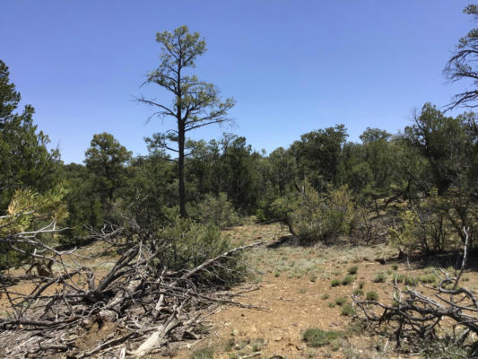 LOT 1 TIN CAN ALLEY ROAD, RAMAH, NM 87321, photo 4 of 22