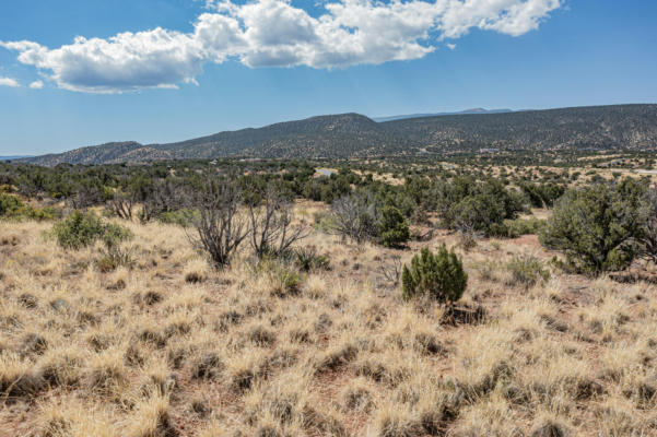 279 STAR MEADOW RD, PLACITAS, NM 87043, photo 2 of 27