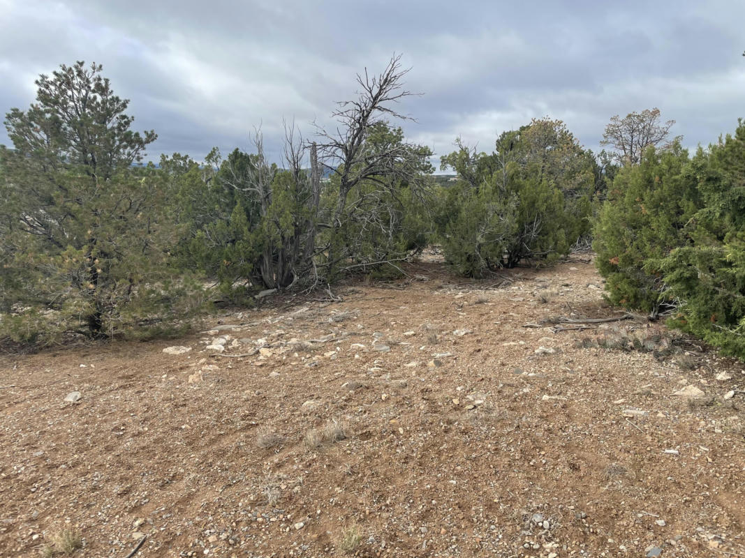 11 RAIN DANCE RD, SANDIA PARK, NM 87047, photo 1 of 15