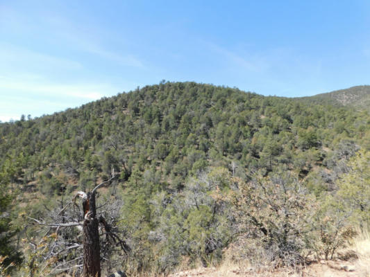 LOT 18 RIVERS WEST ROAD, RESERVE, NM 87830, photo 4 of 14