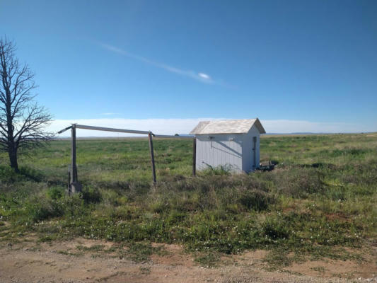 RILEY ROAD, ESTANCIA, NM 87016, photo 5 of 15