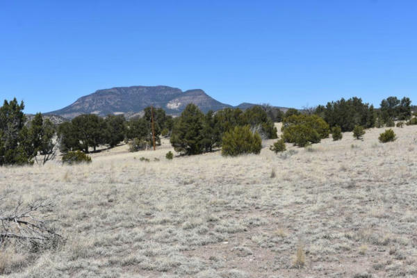 LOT 15 OLD THOMAS PLACE IV, DATIL, NM 87821, photo 5 of 33