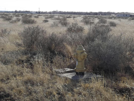 AUDRA, BLK 6, LOT 1 LOOP, ESTANCIA, NM 87016, photo 5 of 5