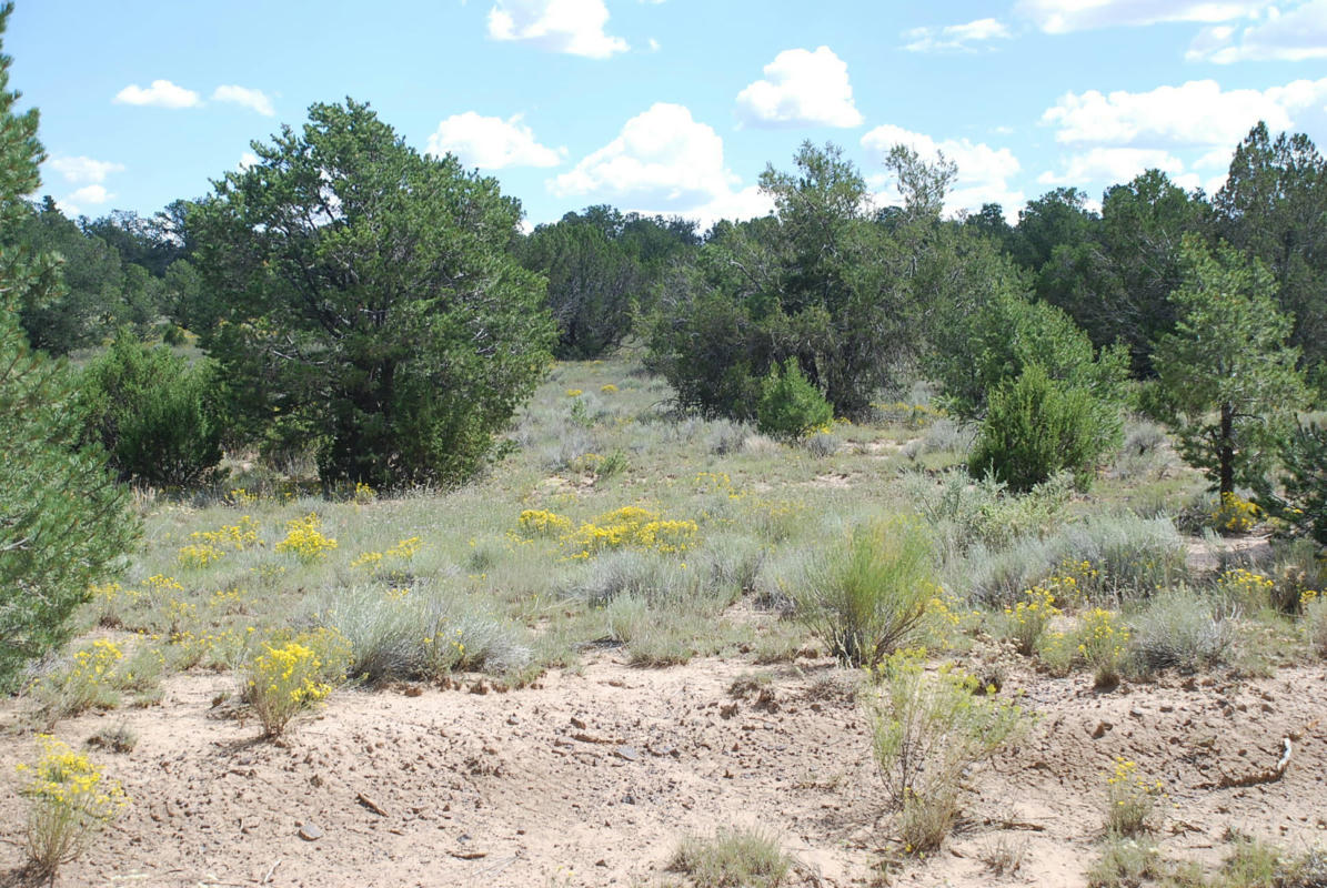 WILDHORSE SUBDIVISION 10 LOTS, PIE TOWN, NM 87827, photo 1 of 3