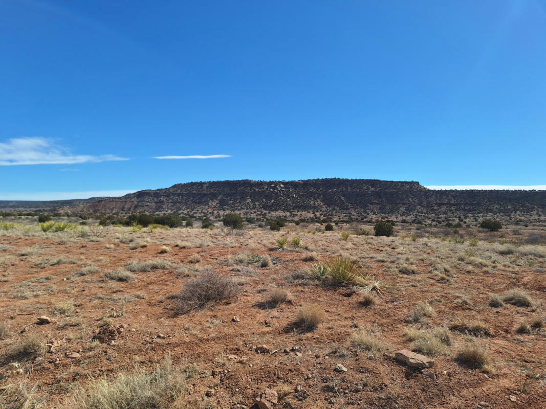 0 N 104 HWY, GARITA, NM 88421, photo 1 of 5