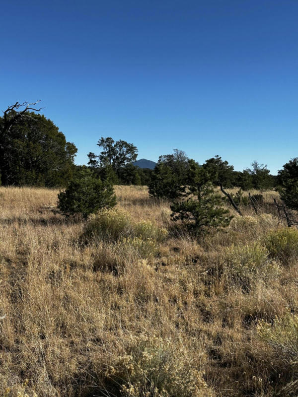 AGUA FRIA, QUEMADO, NM 87829, photo 1 of 5