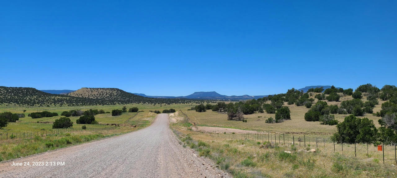 LOT 6 OLD THOMAS PLACE, DATIL, NM 87821, photo 1 of 33